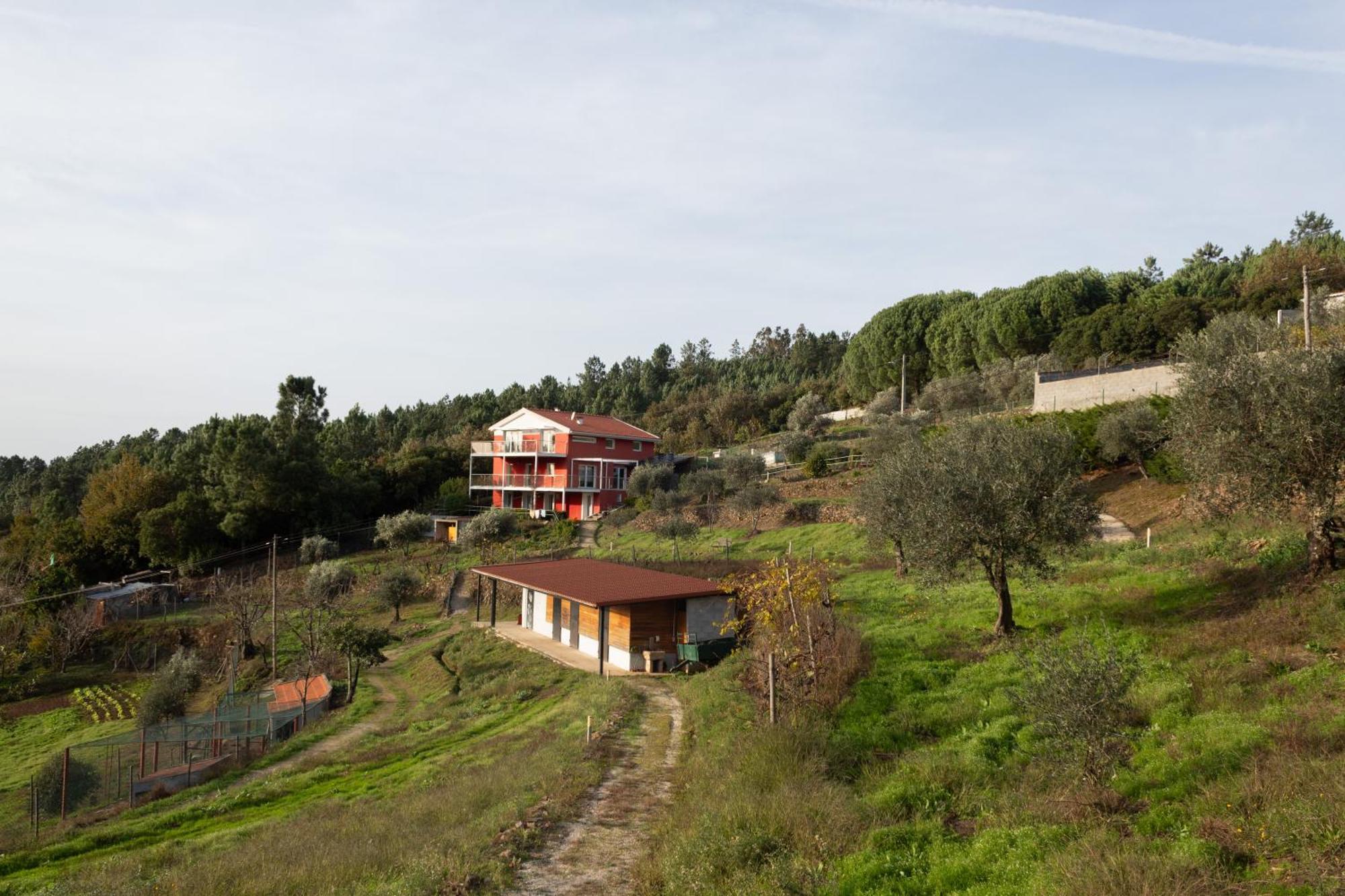 Ecofurtado Furtado Exterior foto