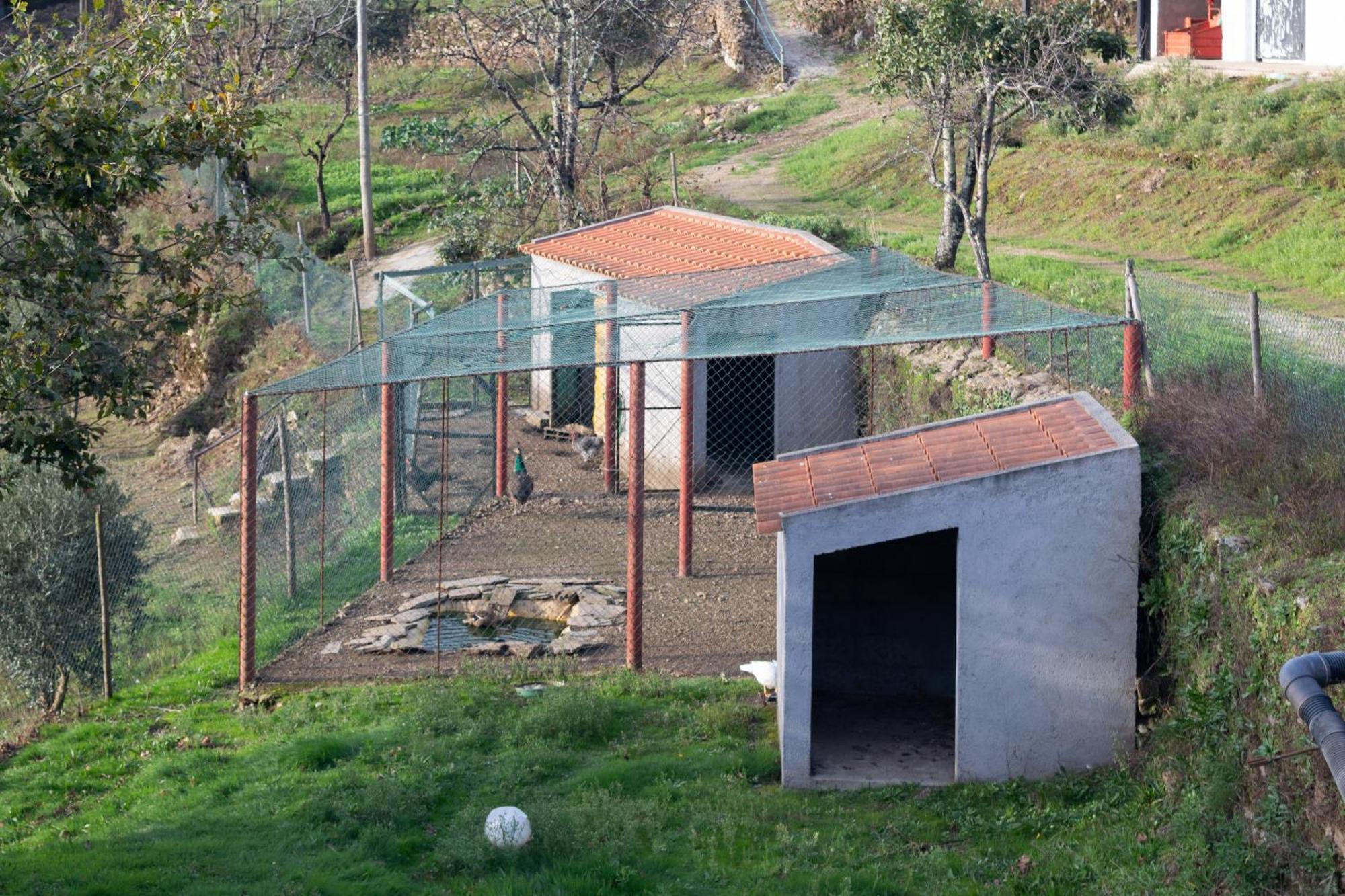Ecofurtado Furtado Exterior foto
